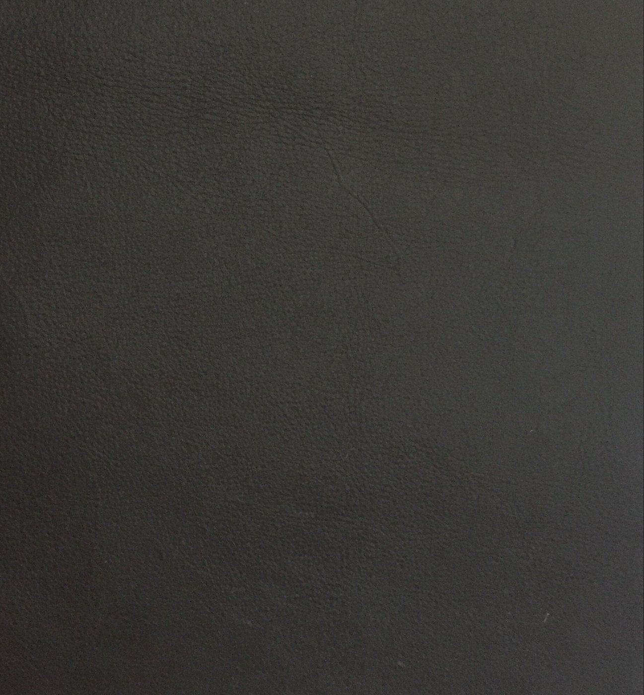 Bezug Leder schwarz aus Santa Fe - Leder (Art-Nr. 71.553 ) für Weißpolster  Julius Stuhl