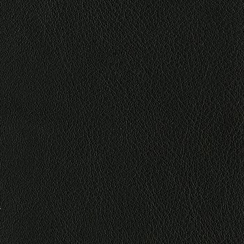 Gaucholin leather Kat. 3, black